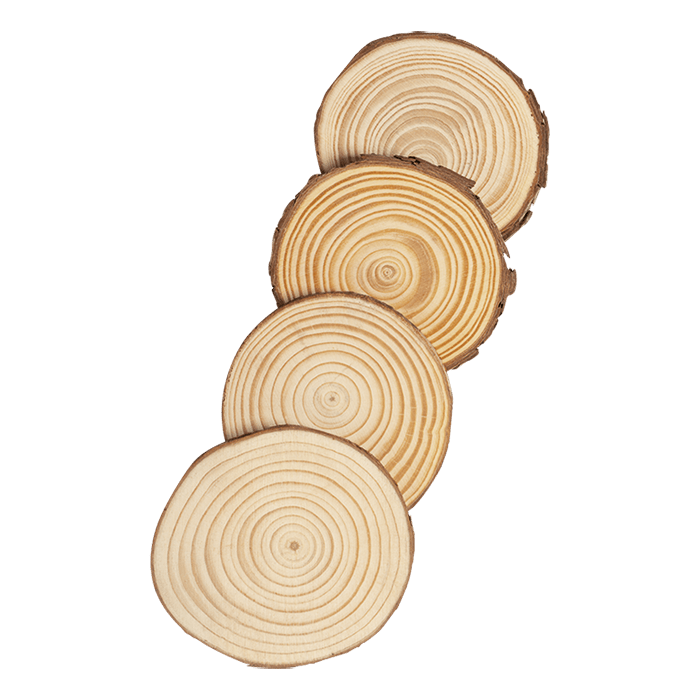 Yantic Wood Coaster Set