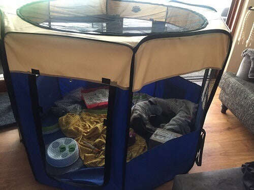 Portable and Collapsible Pet Playpen
