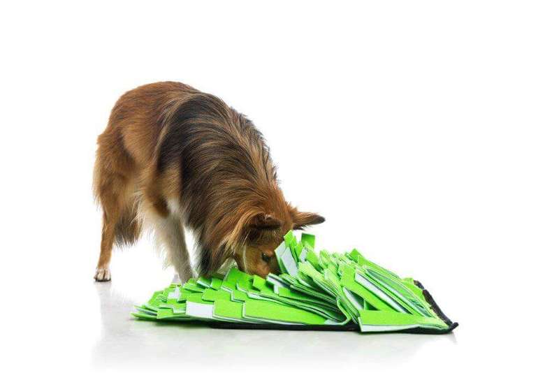 Dog Snuffle Mats