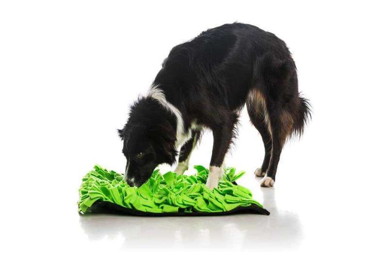 Dog Snuffle Mats