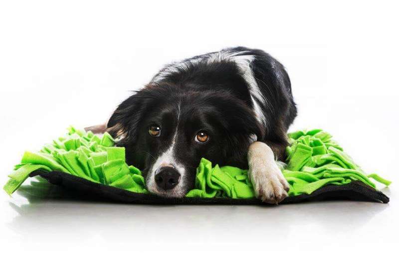 Dog Snuffle Mats