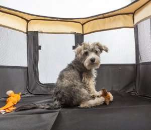 Portable and Collapsible Pet Playpen
