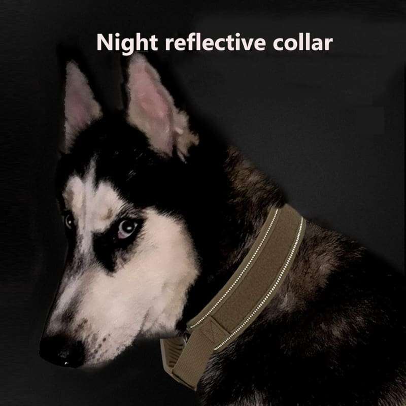 Heavy Duty Tactical Military Training Dog Collar
