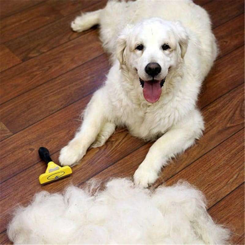 Pet Deshedding Grooming  Brush for Dogs and Cats