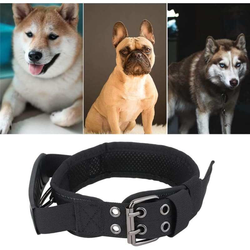 Heavy Duty Tactical Military Training Dog Collar