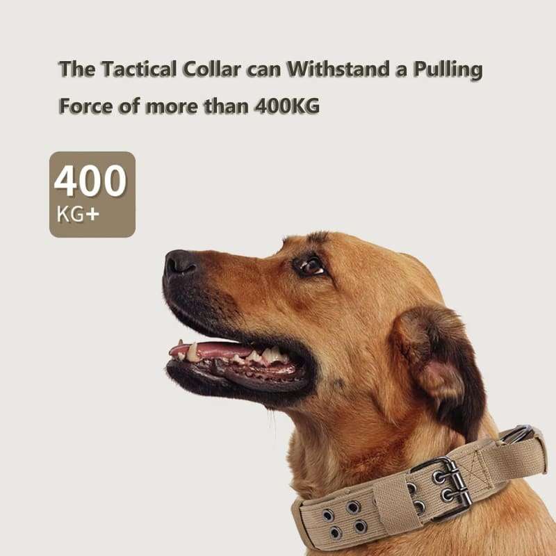 Heavy Duty Tactical Military Training Dog Collar