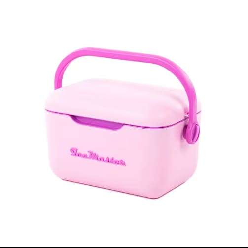 IceMaster Cooler Box  6L