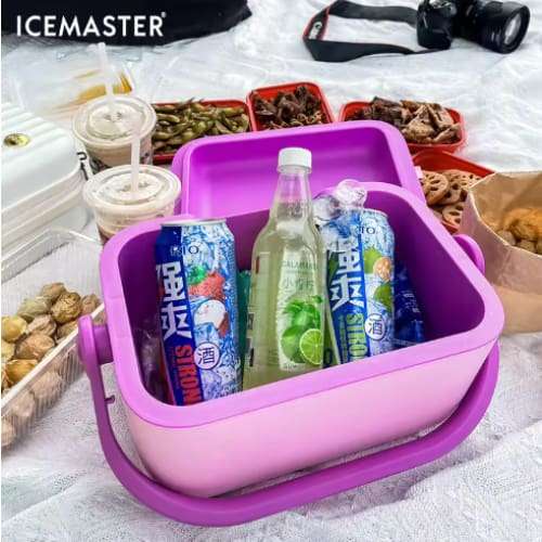 IceMaster Cooler Box  6L