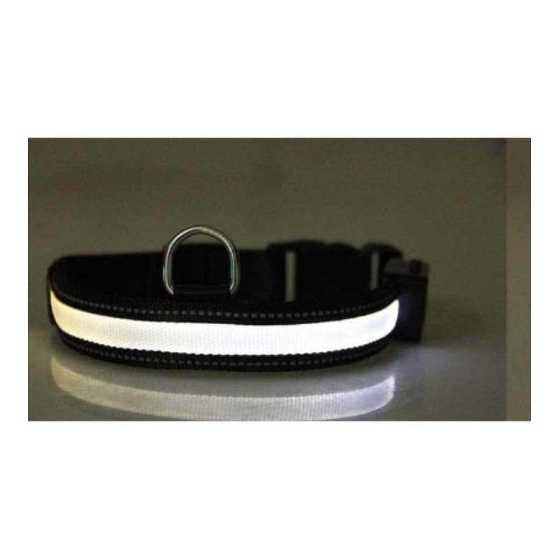 Xtreme Xccessories Rechargable LED Light  Dog Collar