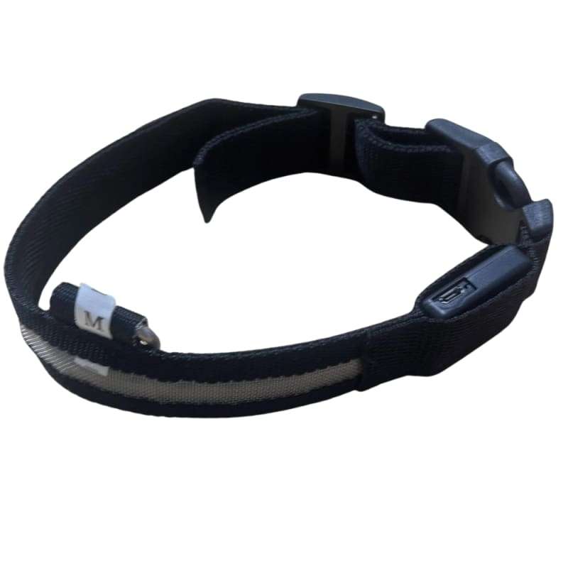 Xtreme Xccessories Rechargable LED Light  Dog Collar
