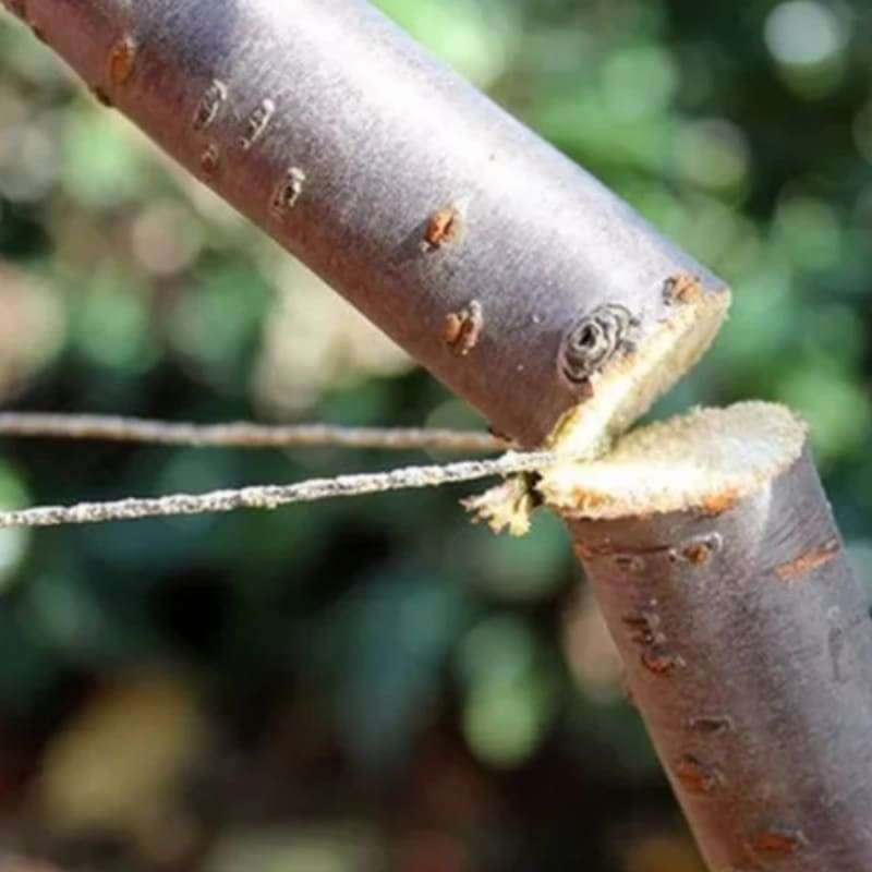 Survival FretSaw