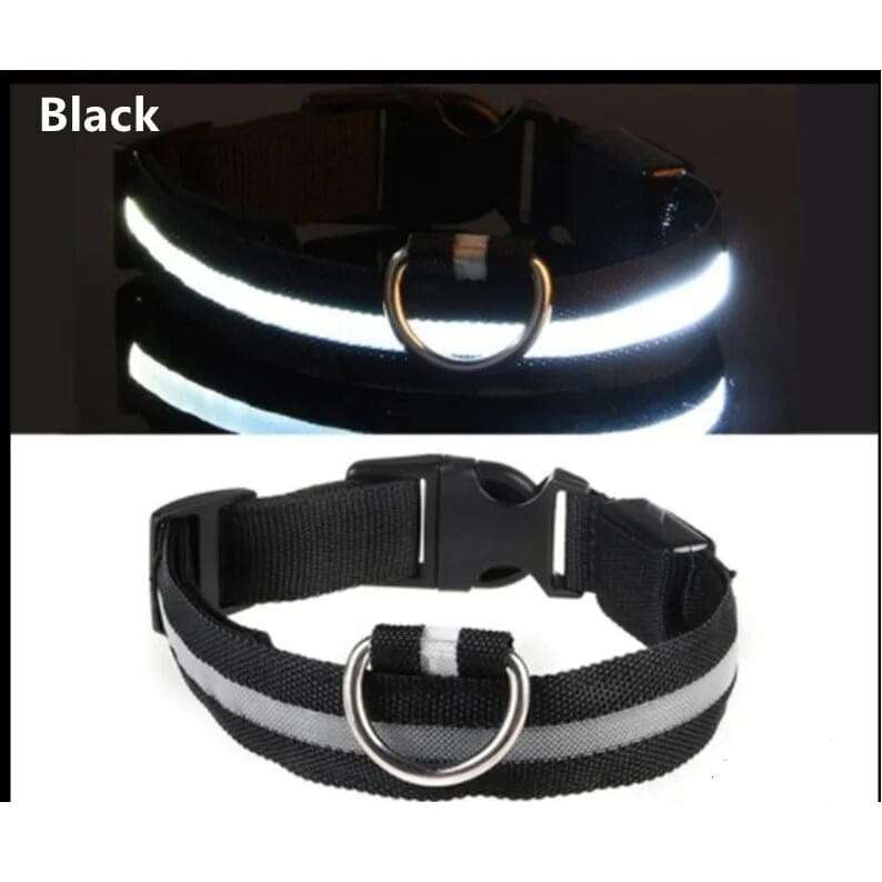 Xtreme Xccessories Rechargable LED Light  Dog Collar
