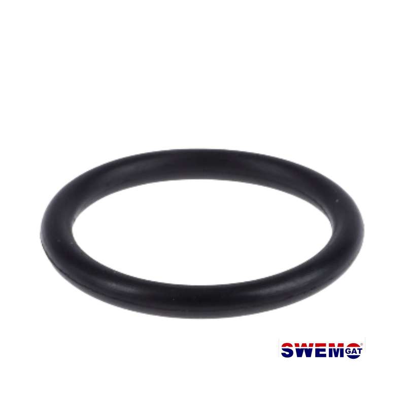 Ultra Zap UV Clarifier o-ring