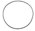 Rapid Pump flange O Ring