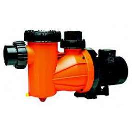 Speck Badu swimming pump Model: Galaxy 230V