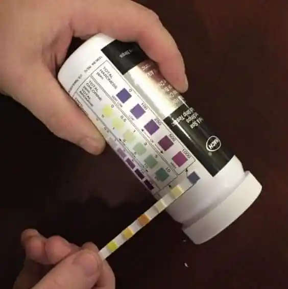 Aquachek Silver Fc,Tc,Ph,Ta,ca,Th (100 test strips) for pool owners &  professionals