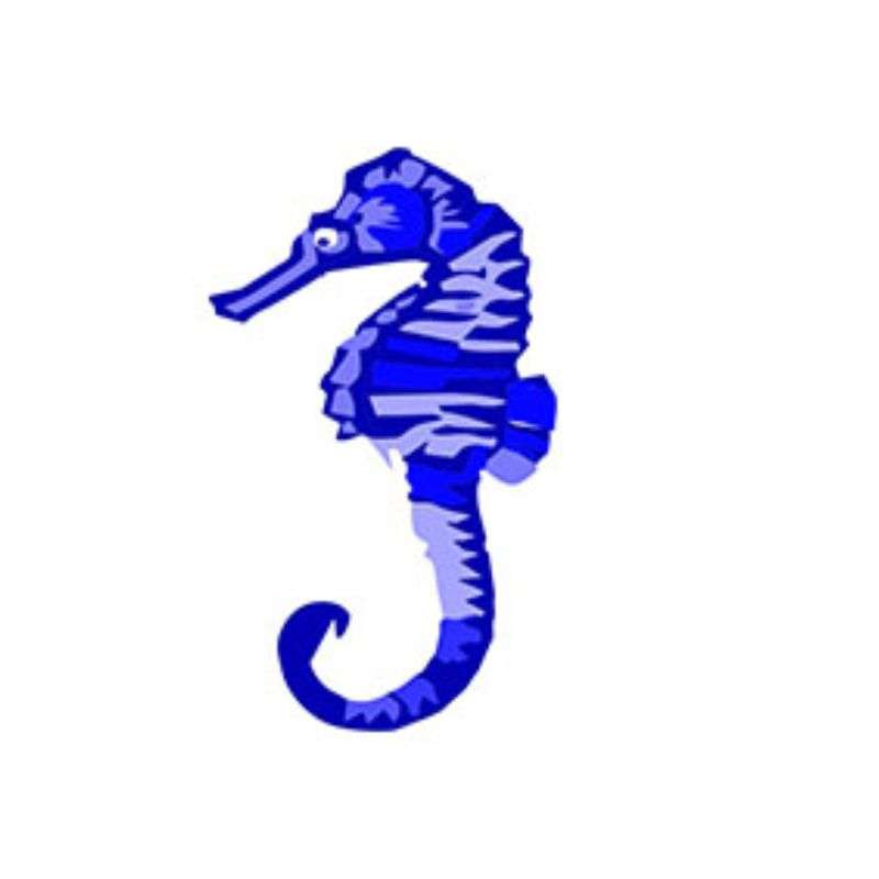 Fibreglass Pool Motif Seahorse 950mm(Printed on tissue paper)