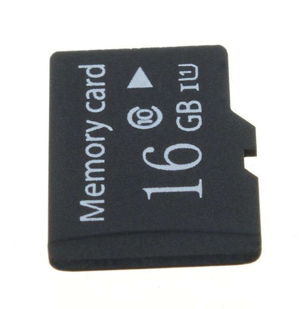 SD Card (Various Sizes)