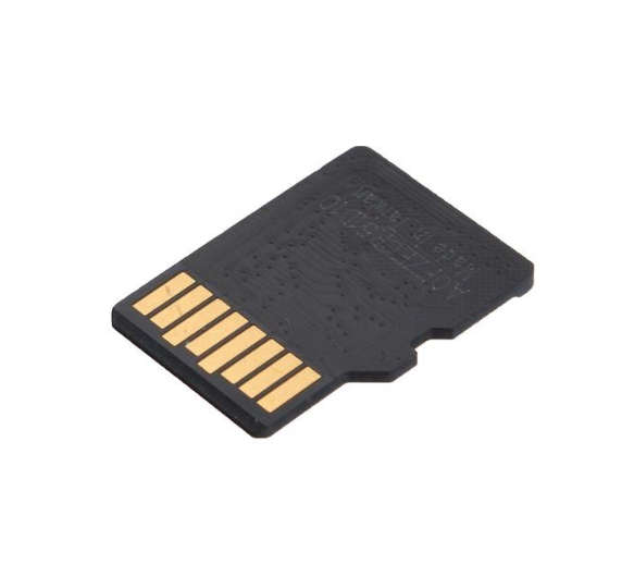 SD Card (Various Sizes)