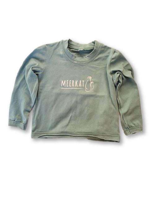 0-3 Months Turquoise Long Sleeve Top - Meerkat