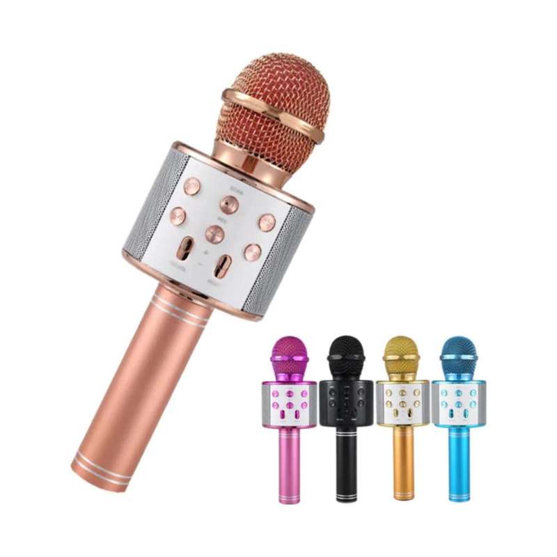 Karaoke Microphone