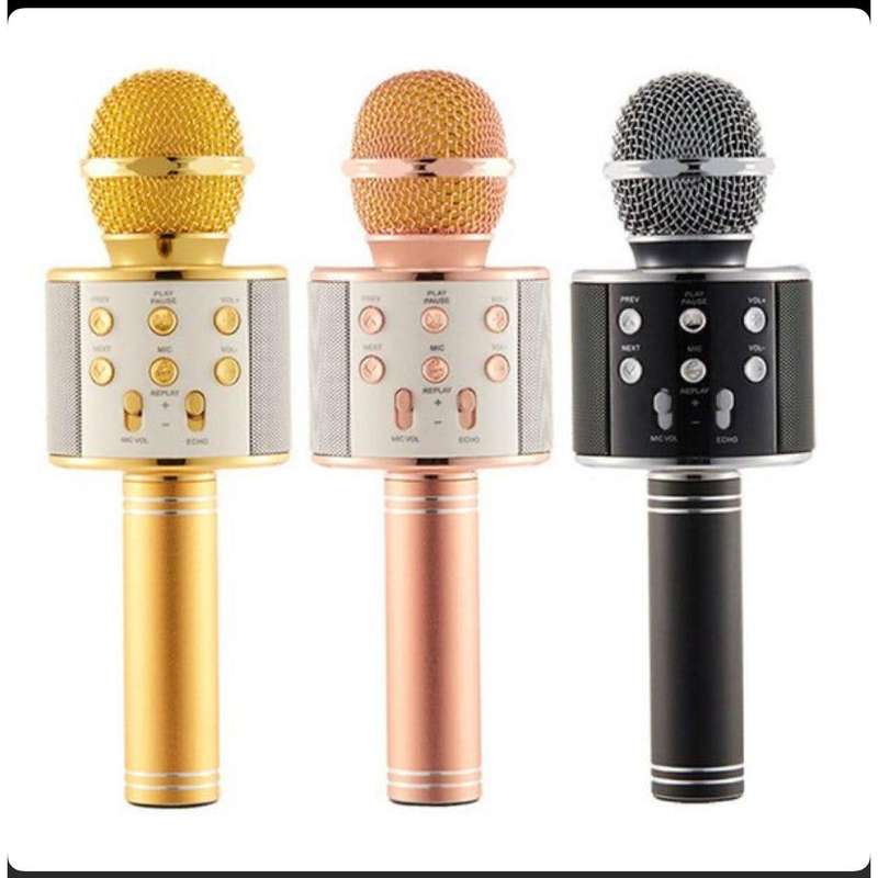 Karaoke Microphone