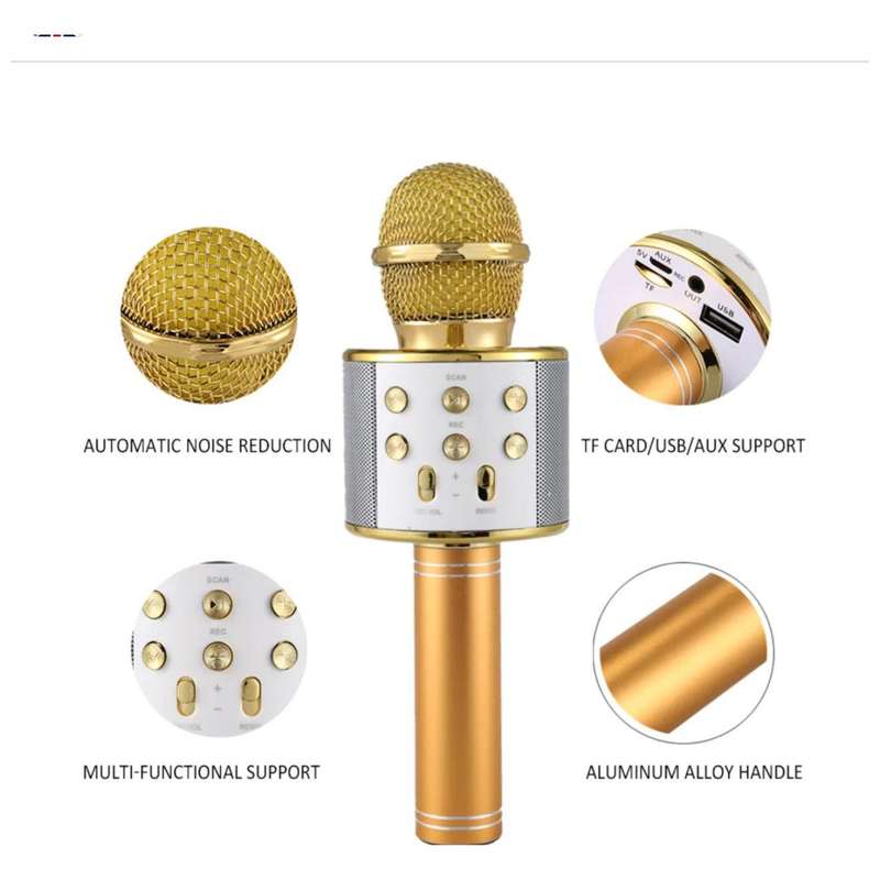 Karaoke Microphone