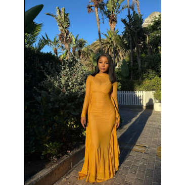 Plain Color Long Sleeve Simple Casual Elegant Draped Pleated Sleeve Dress
