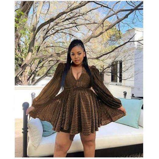 V-Neck Long Sleeve Minin Dress