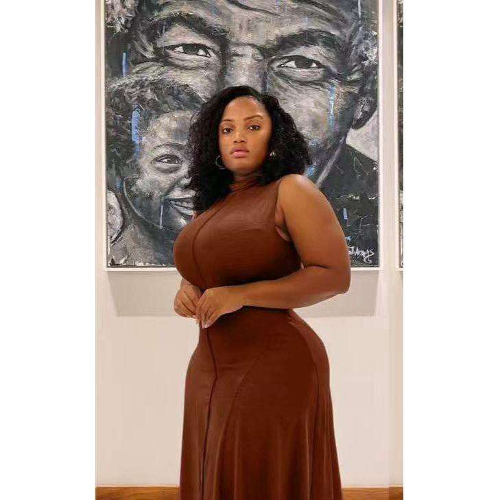Turtleneck Sleeveless Maxi Dress