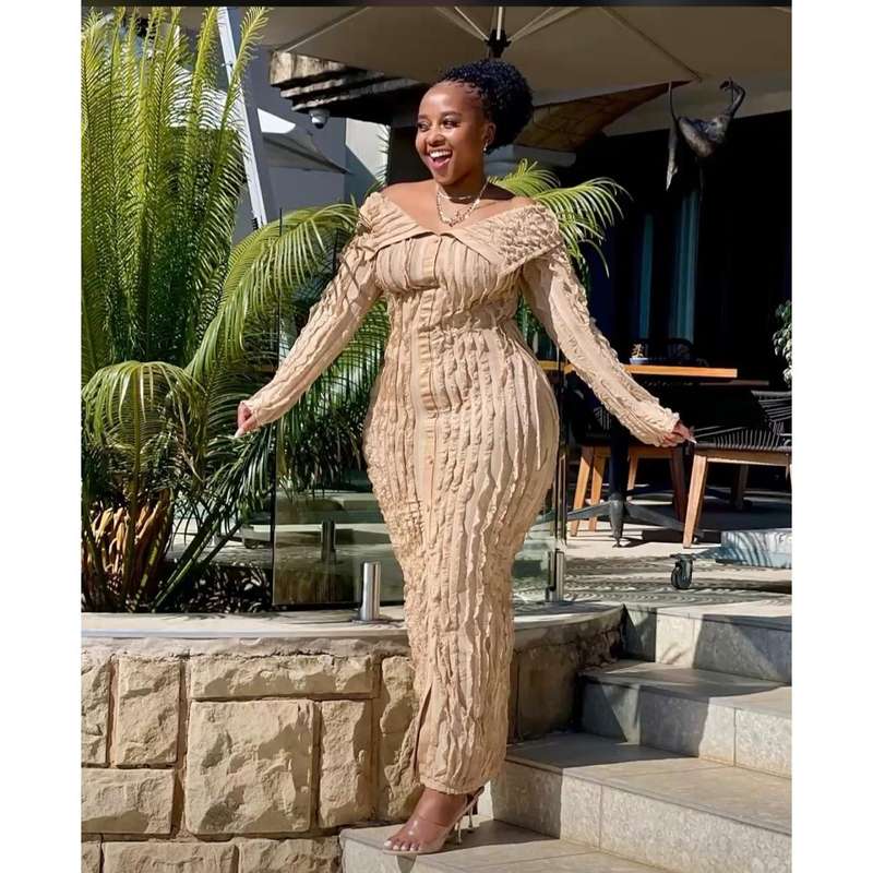 Mesh Texture Fabric Turn-Down Collar Off Shoulder Bodycon Dress