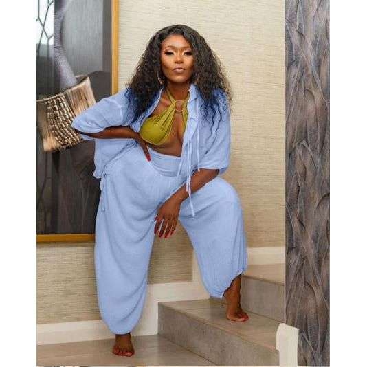Plus Size 2 Piece Long Sleeve Shirt Top & Wide Leg Pants