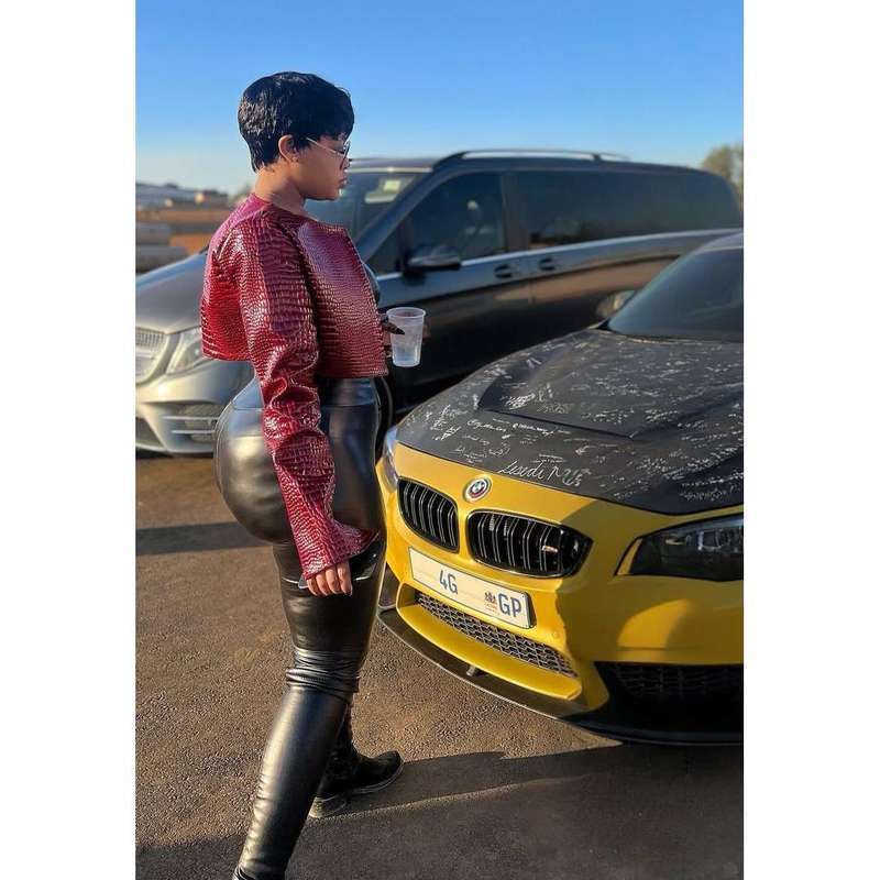 Maroon Crocodile Print Long Sleeve Crop Jacket