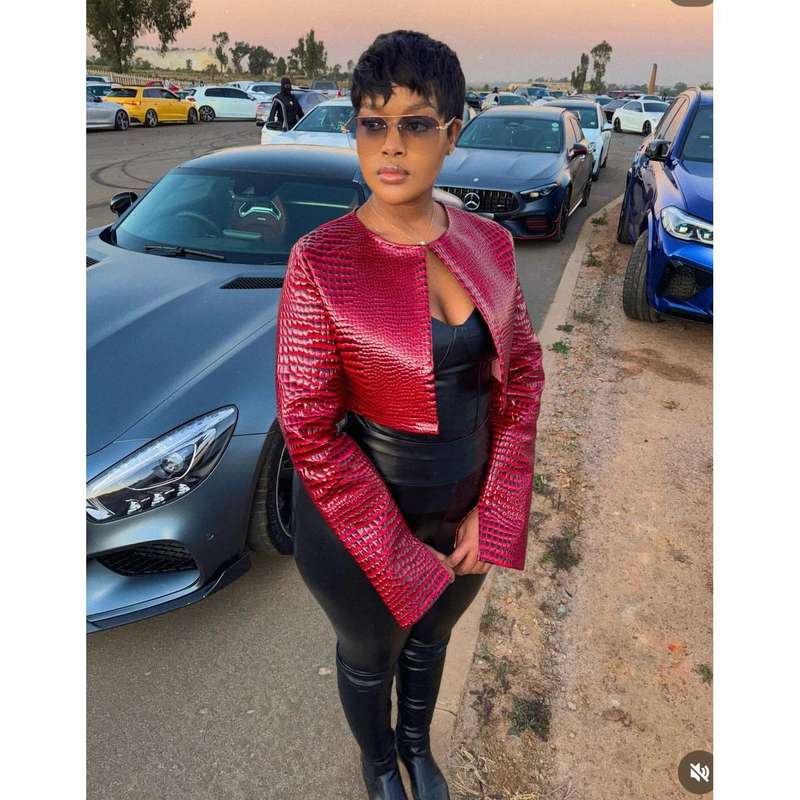 Crocodile  Print Long Sleeve Crop Jacket