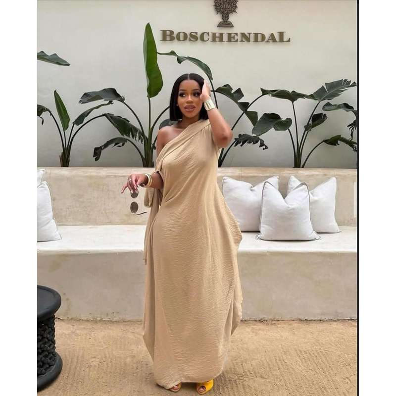 Sloping Collar Chiffon Overlay Party Elegant Asymmetric Sleeve Dress