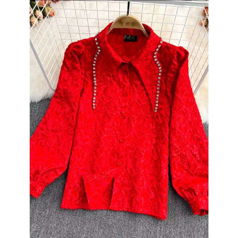 Long Sleeve Lapel Women Shirt