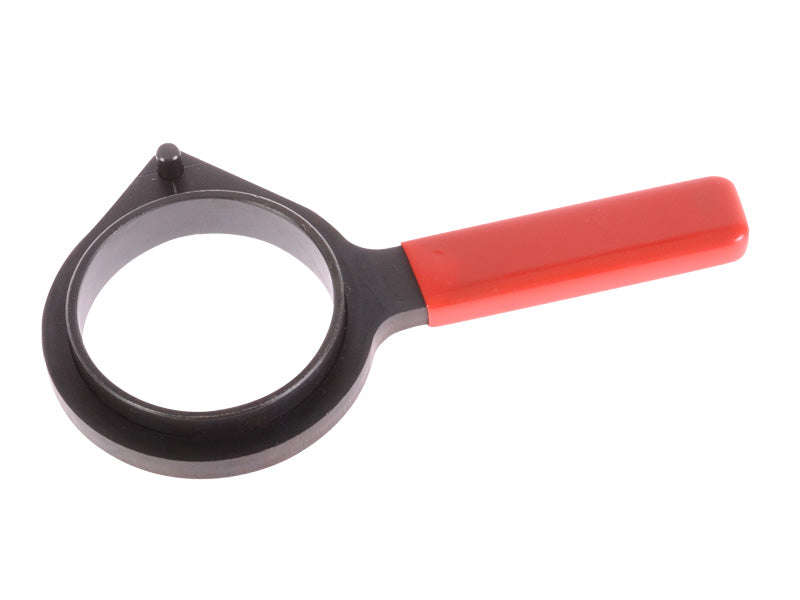 Petrol Engine VANOS Engagement Wrench (BMW)