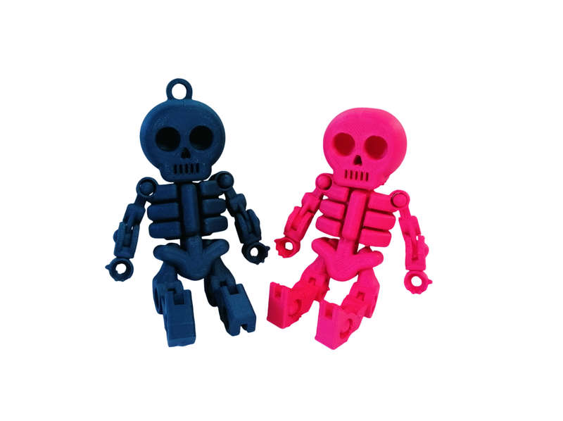 3D Printed Skeleton