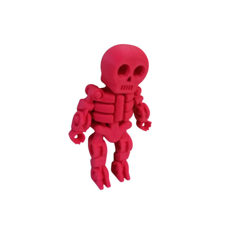 3D Printed Skeleton