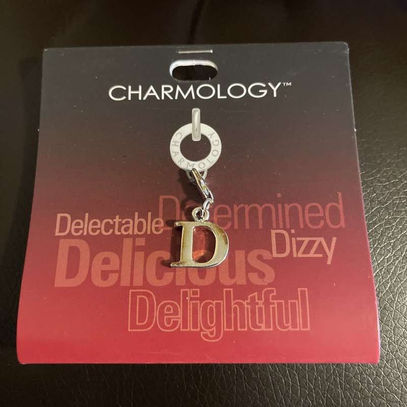 Charmology Silver Letter Clip On Charm
