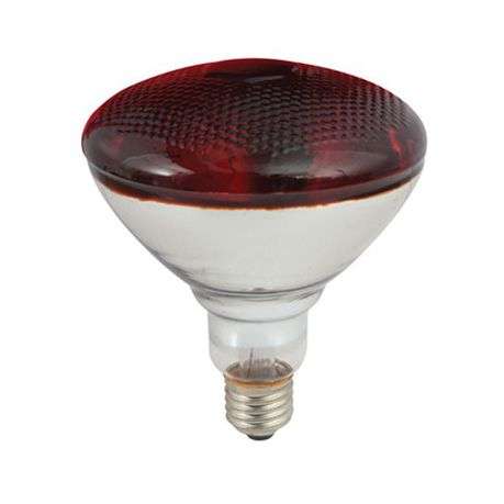 Eurolux Lamp Par38 Infrared - 175W  G204  108