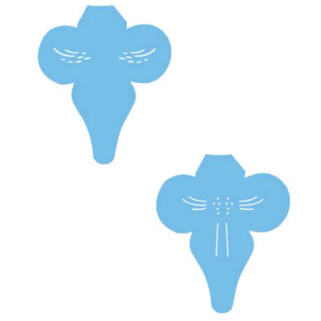 Jem Stencil - Orchid Labellum Set of 2