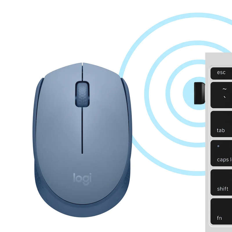 Logitech Wireless Mouse M171 (Blue/Grey) Nano USB receiver 3 buttons optical tracking ratchet whe...