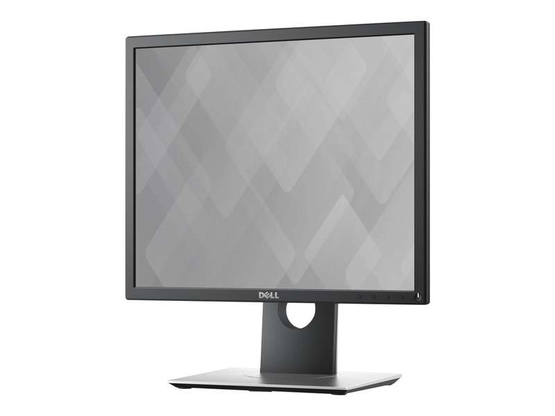 Dell 19 Monitor - P1917S - 48cm(19) Black SAF
