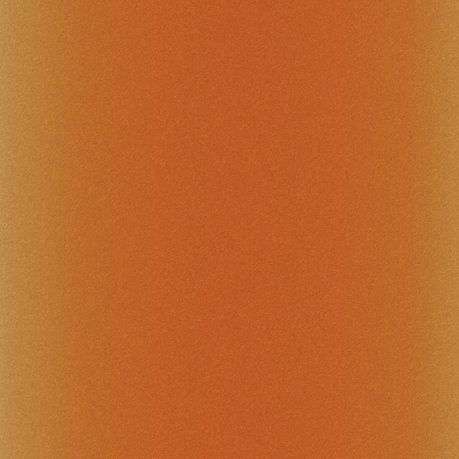 2008768 - Cricut Infusible Ink Transfer Sheets 2-pack (Leopard) 12x12
