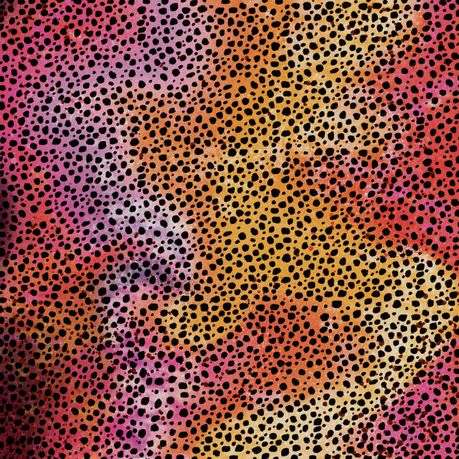 2008769 - Cricut Infusible Ink Transfer Sheets 2-pack (Rainbow Cheetah) 12x12