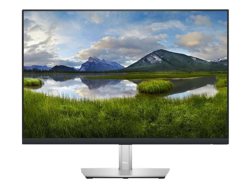 Dell 24 Monitor - P2423 - 61cm (24)