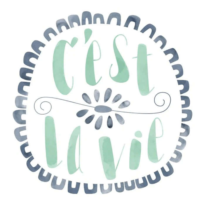 2004946 - CRICUT IRON ON DESIGNS CEST LE VIE 8.5X12