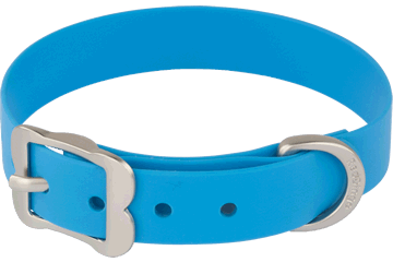 Red Dingo Vivid PVC Dog Collar -Blue - Large