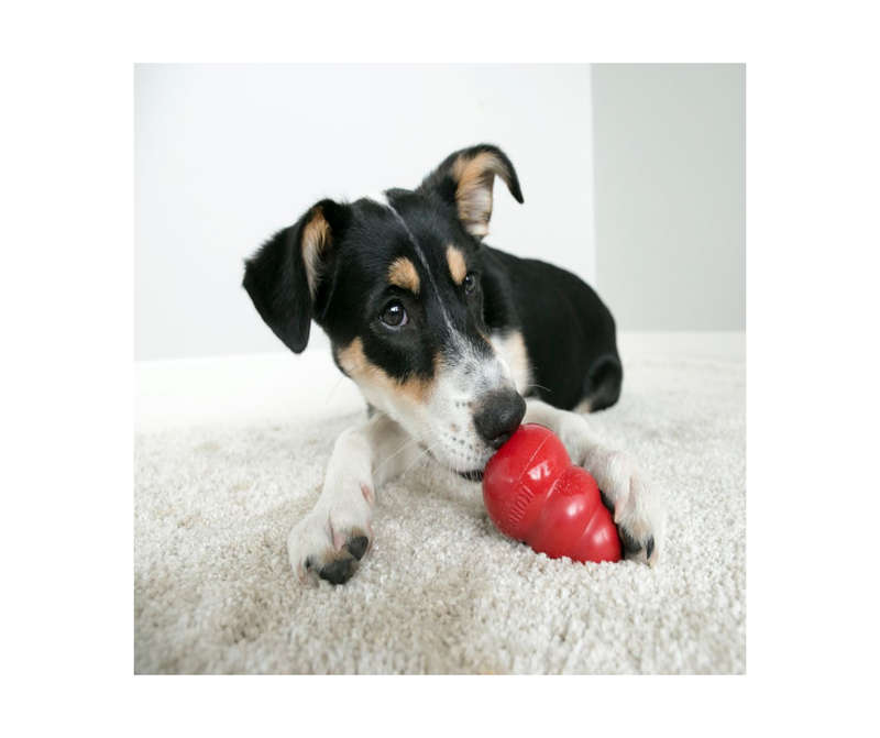 Kong Classic Dog Treat Toy - Red ( medium )